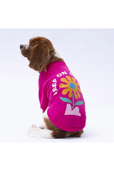 Pawstar Pink Lahti Cat Dog Sweat - Cat Dog Outfit
