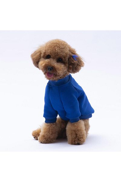 Pawstar Sax Blue Lahti Cat Dog Sweat - Cat Dog Outfit