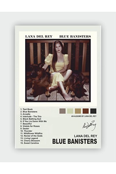 fırsatlar diyarı Lana Del Rey - Blue Banisters Müzik Duvar Posteri - Kalın Ka...