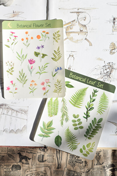 sticker Botanical Şeffaf Seti *2 Sayfa* / Scrapbook, Planner, Laptop