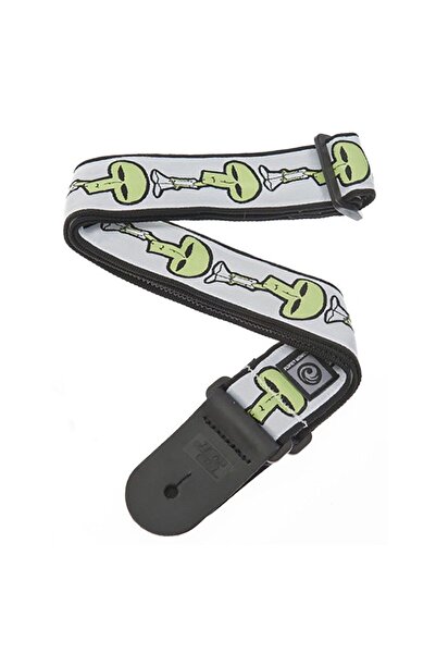 Planet Waves PLANETWAVES 50JS06 CUREA PENTRU CHITARĂ DOKUMA JOE SATRIANI SPAC...