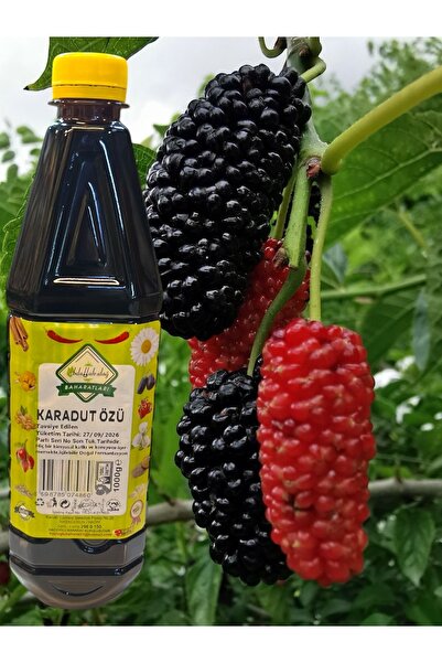 ABDULLAH DAĞ Hatay Yöresel Kara Dut Kan Dut Şurubu Karadut Özü 1 Kg / 1000 ml