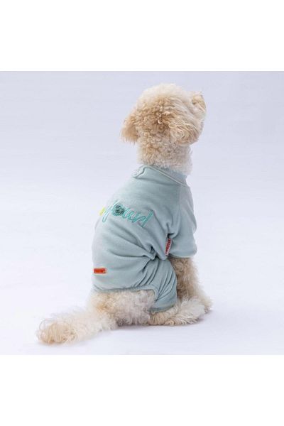Pawstar Mint Angers Dog Jumpsuit Dog Outfit Cat Outfit