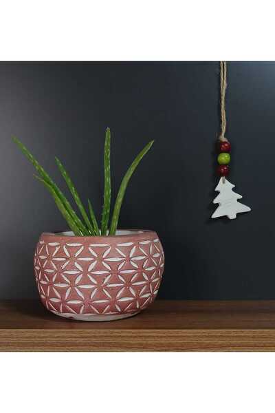 Hemdeucuz Beton Saksı