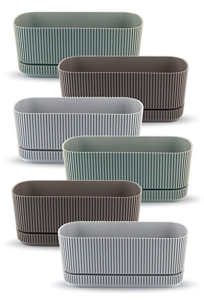 ToXA 6 Adet Pera Uzun Saksı No1 1,5 Litre Çok Renkli 23cm Plastik Kaktüs Suku...