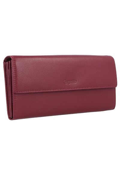 Esquire Viktoria Geldbörse RFID-LED 18,5 cm