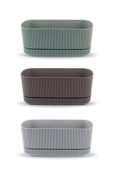 ToXA 3 Adet Pera Uzun Saksı No1 1,5 Litre Çok Renkli 23cm Plastik Kaktüs Sukulent Çiçek Balkon Saksısı