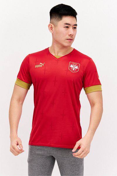 Puma Men Sportswear Fit Brand Logo T-shirt, Red