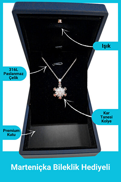 SeyCey.co في صندوق مضاء ممتاز | قلادة ندفة الثلج فضية | فولاذ 316 لتر - غير قابل للتشويه | هدية المرأة