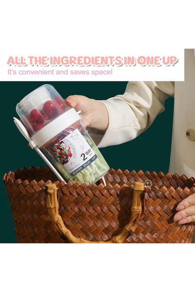 BGSignature 2-Layer Bpa Free Salad and Container - with Sauce Bowl, Carrying String and Spoon/Fork Set