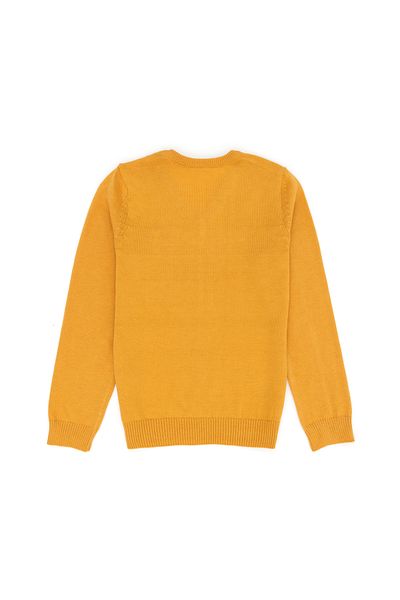 U.S. Polo Assn. Pulover de bază muștar pentru băiat 50275849 -VR072