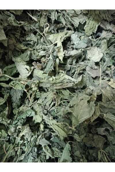 KURMEYSAN Nettle, Scallion, Waxing, Dalagan, Bite, Dead Nettle, Urtica Dioica Net 30 gr Dried