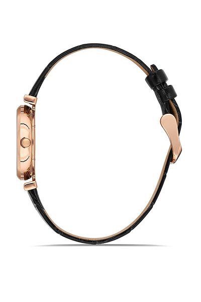 Hislon Ql119r-04br Wristwatch