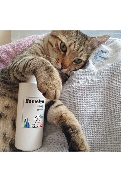 İstanbul İlaç Hamelyn Sprey 150 ml