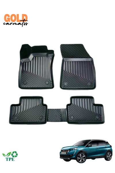 Black Gold Audi Q2 2017+ Araca Özel 3D Havuzlu Oto Paspas Mon