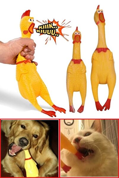 Deco Elit Büyük Boy Sesli Horoz Eğlenceli Köpek ve Kediler İçin Sesli Öten Ho...