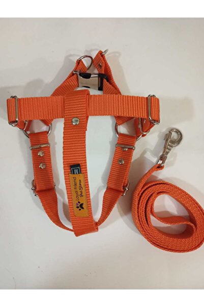 Loyal Friend Store köpek göğüs tasma TURUNCU XXL BEDEN (75-85 Cm)