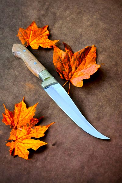 Mrsstore Outdoor Hunting Wedge Picnic Pocket Knife Camping Knife with Handmade Holster Gift (Walnut Tree Handle)