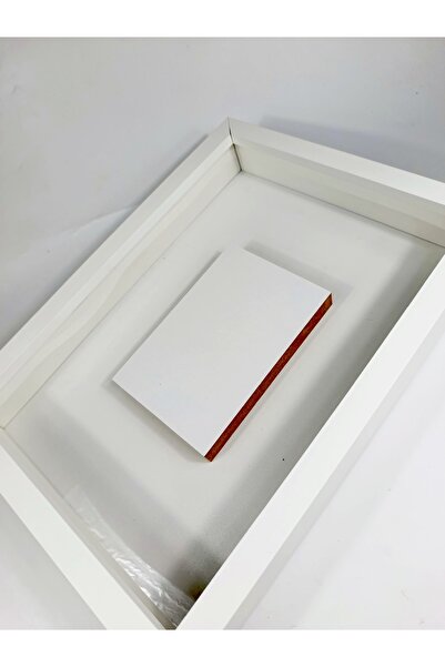 FY Memory Frame with Photo Section Rose Box Frame Flower Box 25X35