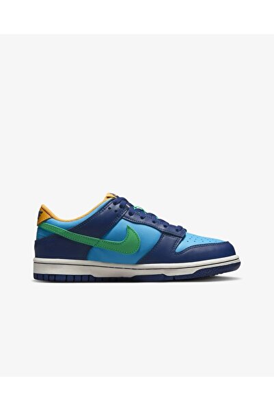 Nike Dunk Low Spor Ayakkabı Dv1693-401