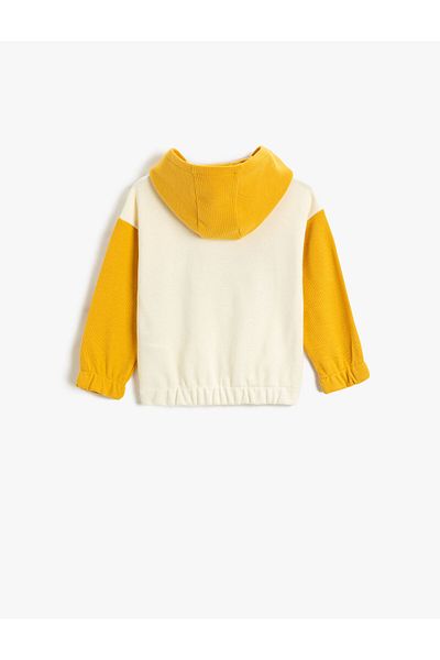 Koton Teddy Bear Printed - Hooded and Color Contrast Sweatshirt