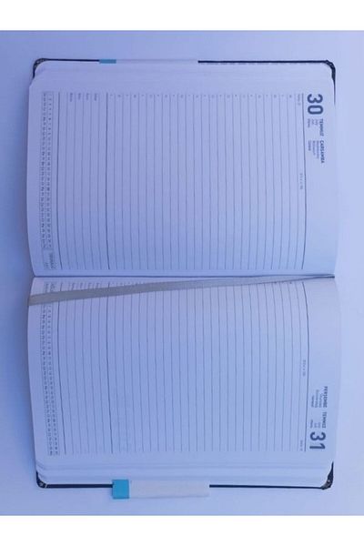 Gıpta AGENDA 2025 AGENDA 17*24 ZILNIC 107-ECK 2025