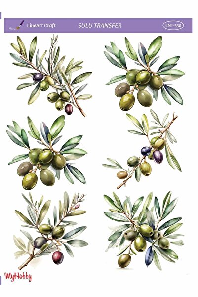 LİNEART LNT330 Sulu Transfer 25 * 35 cm