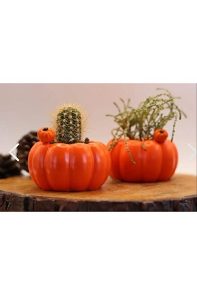 Genel Markalar kabak saksı silikon kalıbı