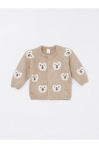 LC Waikiki Lcw Baby Crew Neck Embroidered Baby Boy Cardigan