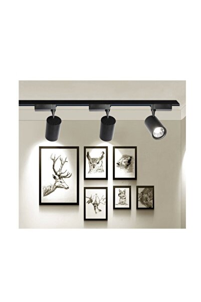 Ledim 4 Adet 30W Led Ray Spot+1 METRE RAY Vitrin Mağaza Armatürü Siyah Kasa Beyaz Işıklı Led Ray