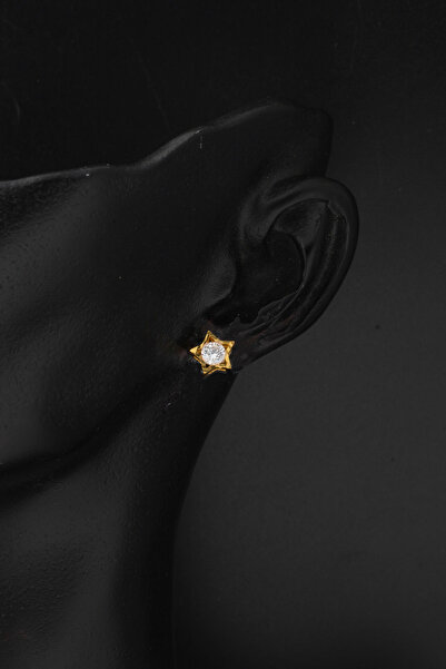 Bilezikci Yıldız Tasarım Tek Taş 22 Ayar Altın Küpe