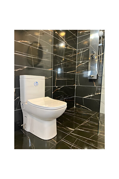 Seramiksan Petite Kanalsız Duvara Sıfır Klozet A101101h, Yavaş Kapak