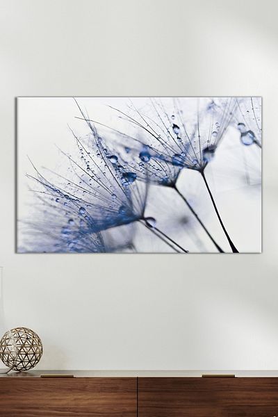 Vosevu Dewy Grain Dandelion Glass Painting, Modern Home Office Decor, Gift Wall Decoration, Unbreakable Glass