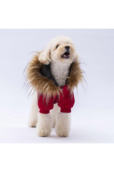 Pawstar Red Charles Dog Coat Dog Raincoat Dog Outfit Dog Dress