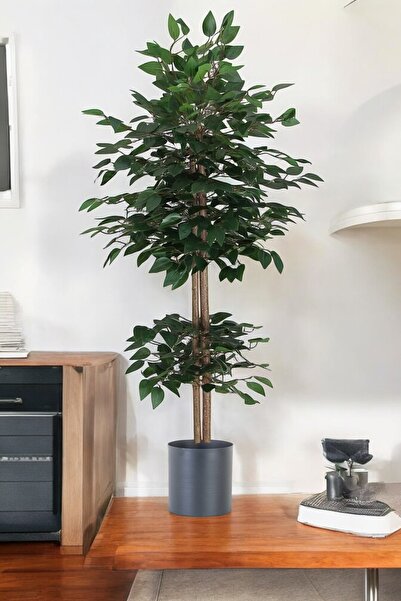 ERHAN FLOWERS ÇİÇEK & DEKORASYON Yapay Benjamin Ağacı Bambu Gövdeli Yeşil (ŞIK METAL SIYAH SAKSILI) 110 Cm