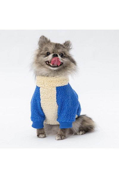Pawstar Sax Blue Alaska Cat Dog Sweat - Cat Dog Outfit