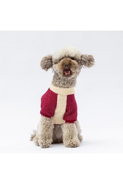 Pawstar Burgundy Alaska Cat Dog Sweat - Cat Dog Outfit