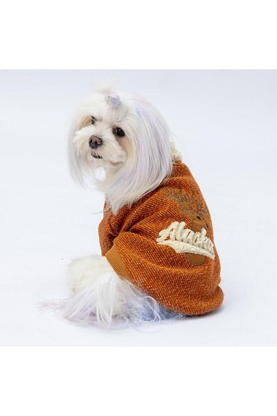 Pawstar Tile Alaska Cat Dog Sweat - Cat Dog Outfit
