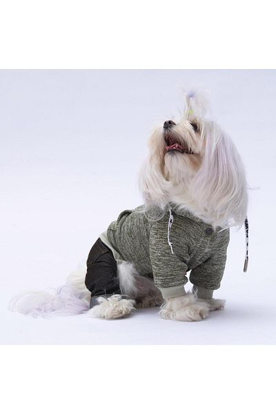 Pawstar Green New York Dog Jumpsuit Dog Outfit Cat Outfit