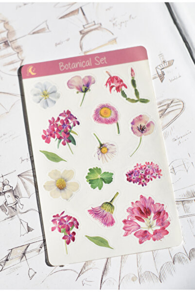 sticker Pembe Botanical Set Şeffaf Sticker Sayfası 1 adet / Scrapbook, Journal
