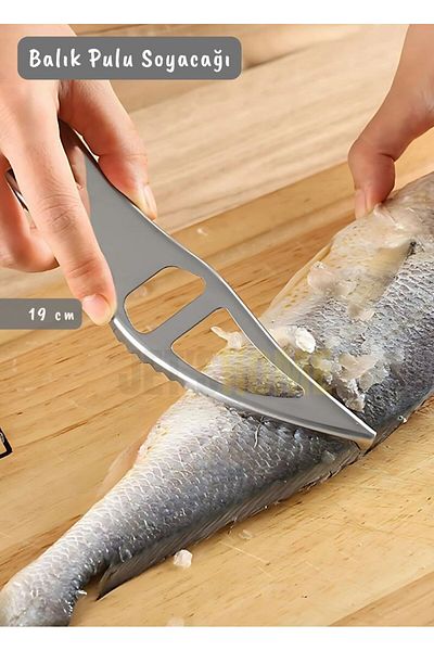 Jet's Home Fish Scale Peeler Bottle Opener Fish Peeler Stainless Steel Fish Peeler 19 cm