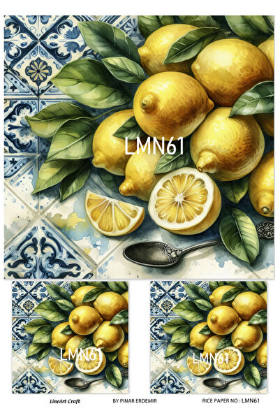 LİNEART Limon Deseni Limon Serisi Pirinc Dekopaj Kagıdı  29X42cm No:LMN61