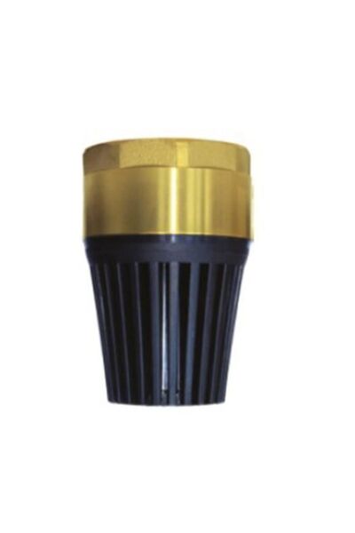 Genel Markalar 2 İnch Yaylı Dip Klape - 9996672850801