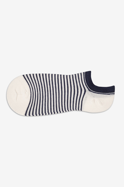 Penti Erkek Dense Stripe Çok Renkli 3lü Sneaker Socks