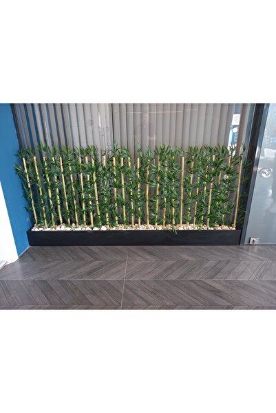 ERHAN FLOWERS ÇİÇEK & DEKORASYON 85 cm saksıda 160 cm boyunda  yapay  bambu speratör