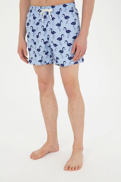 U.S. Polo Assn. Light Blue Men's Swim Shorts -50282921-VR003