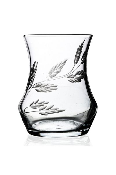 DECOCIA Afro Set of 6 Tea Glasses 170cc with Shoot Pattern