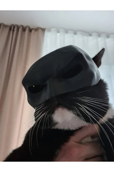 The Plasti Batman Kedi Maskesi