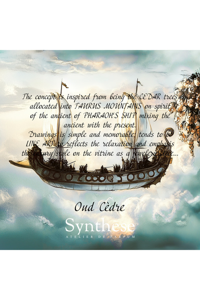 Synthese Oud Cedre Edp 100 Ml Unisex Parfüm