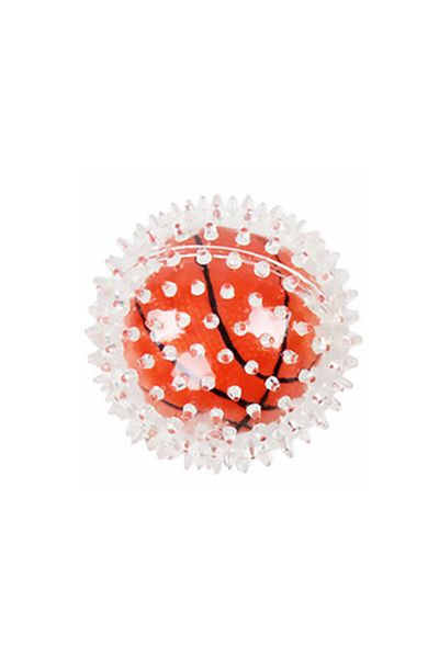 Pawise Bouncing Ball Dog Toy Basketball Ball from Petshop